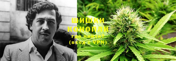 сатива Богданович