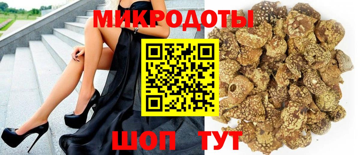 Псилоцибиновые грибы Psilocybe Бузулук