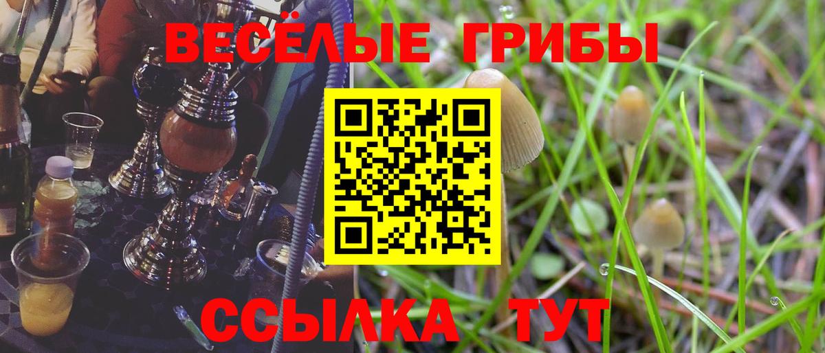Галлюциногенные грибы Psilocybe  Псилоцибиновые грибы прущие грибы  Бузулук  Вход с VPN 